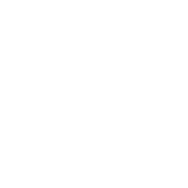 zoom-brands-solid